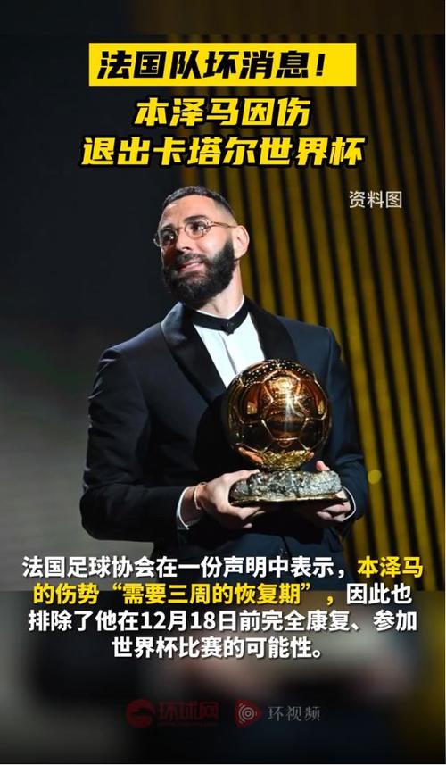 本泽马为何被法国队除名？背后隐藏着什么？