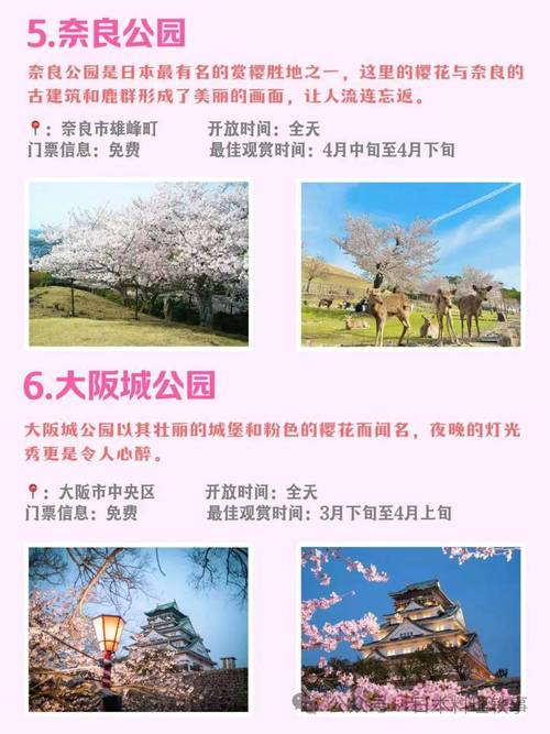 大阪樱花什么时候开？2024年大阪樱花开花时间预测及赏花攻略
