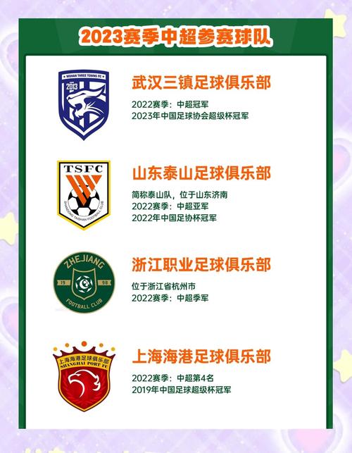 中甲联赛到底是什么？详解中国足球甲级联赛的级别和地位