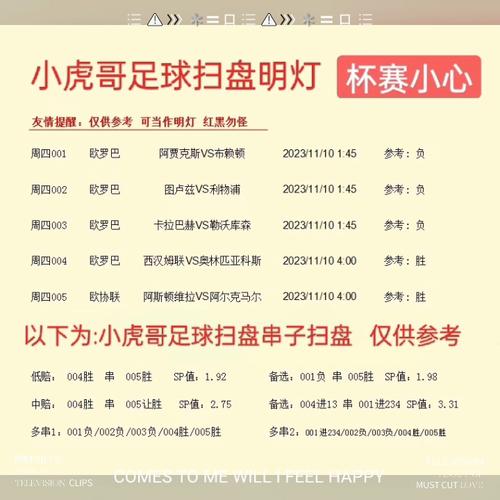 今天有哪些足球比赛？足球赛事信息汇总及预测