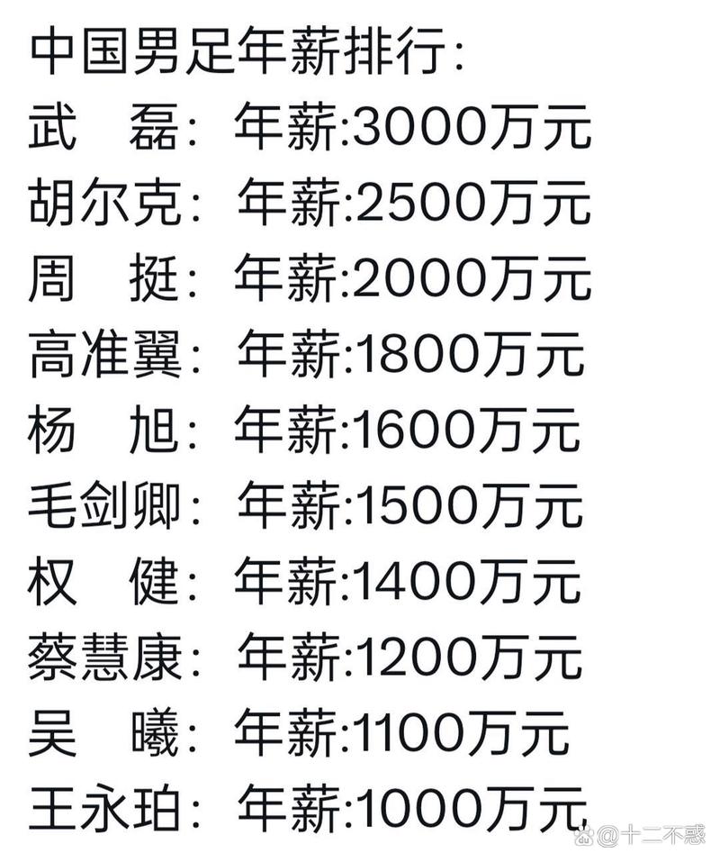 中国男足年薪是多少?看看国脚们到底赚多少?