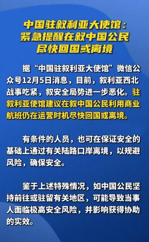 揭秘中叙关系:叙利亚真的对中国友好吗?