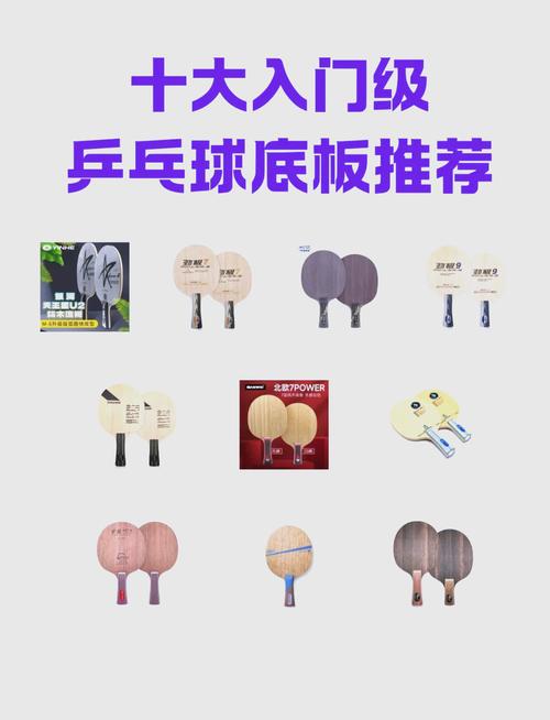 乒乓球哪个牌子最好？新手入门品牌推荐指南