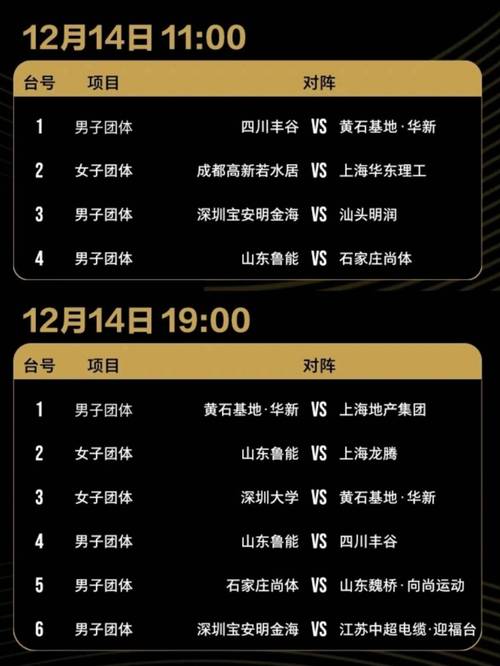 乒超联赛:中国乒乓球最高水平联赛深度解读