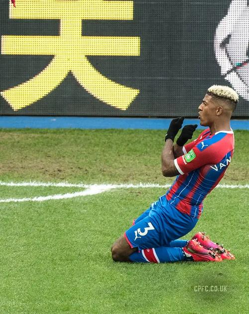 范安霍尔特的足球水平有多高?深度解析及评价