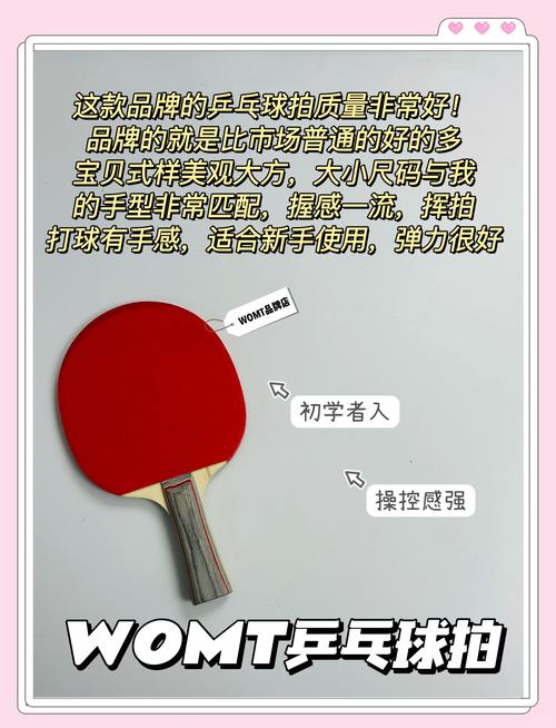 乒乓球哪个牌子最好？新手入门品牌推荐指南
