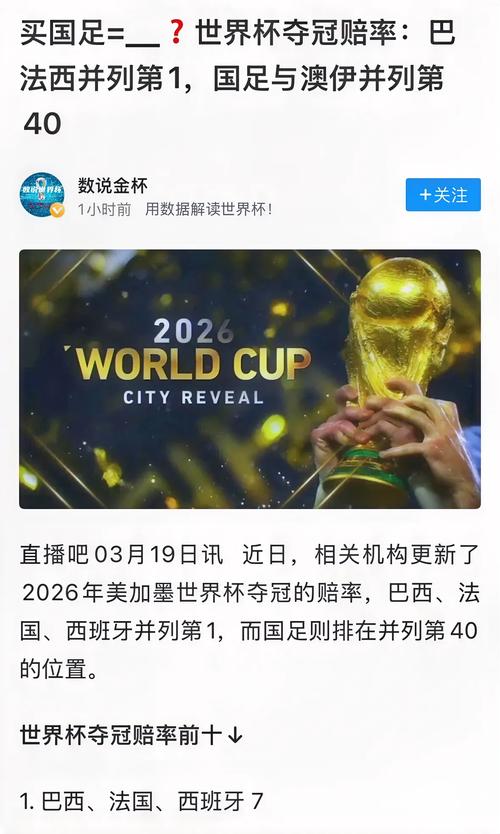 韩日世界杯冠军是谁？巴西队夺冠之路回顾