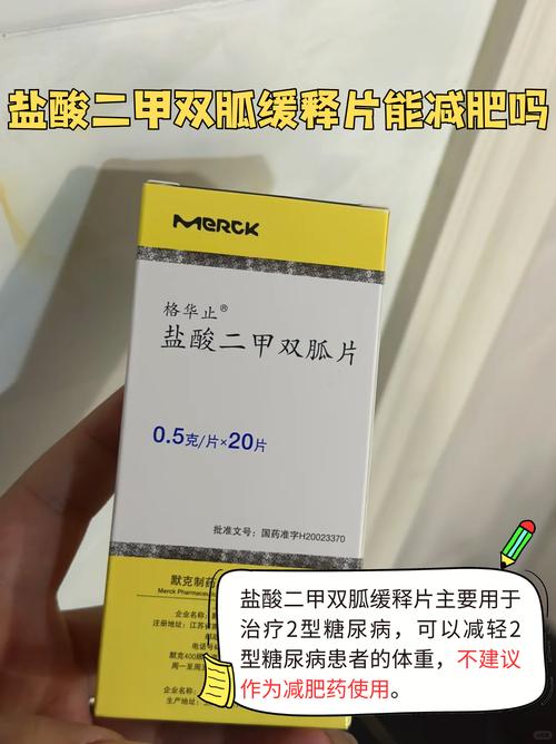 二甲双胍片减肥效果如何？看完你就明白了！