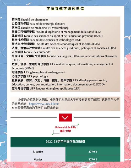 法国里尔大学的真实评价：学生体验与未来发展前景