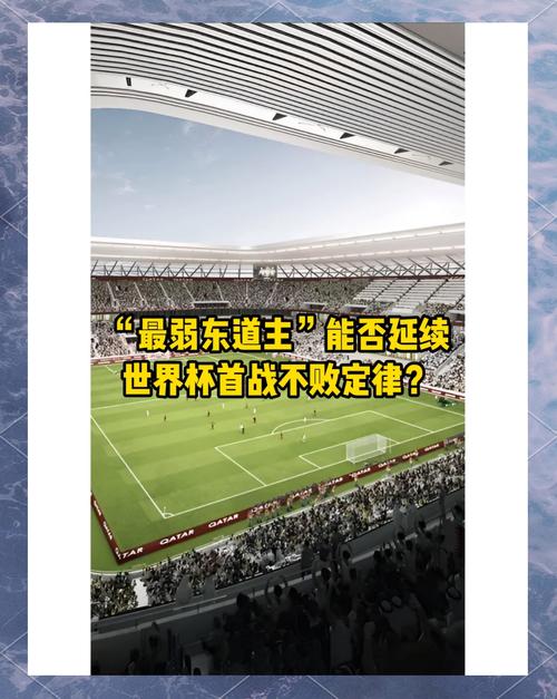 卡塔尔世界杯：东道主首次参赛的精彩瞬间与遗憾