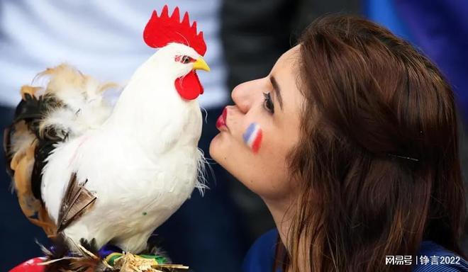 高卢雄鸡的荣耀:法国世界杯几次夺冠?