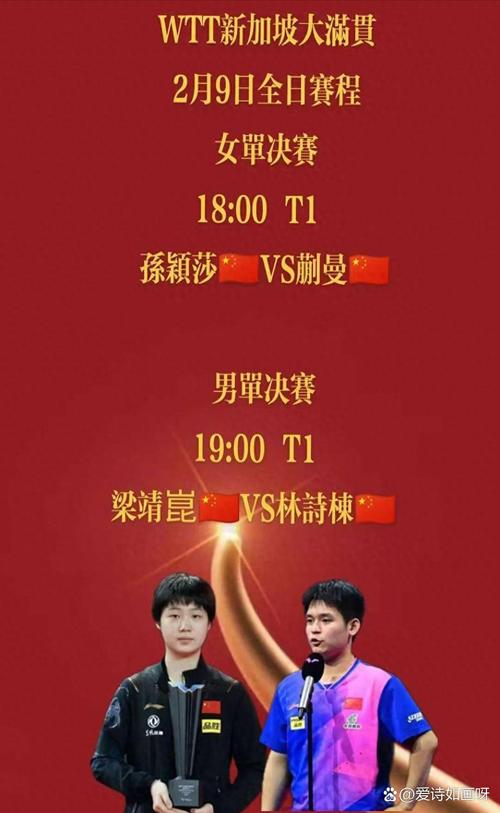 乒乓球大满贯都有谁？一起回顾他们的辉煌战绩