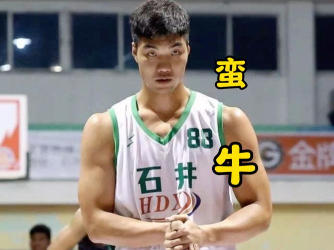 铁牛张鸿林VS蛮牛王增杰：谁是福建野球第一人？