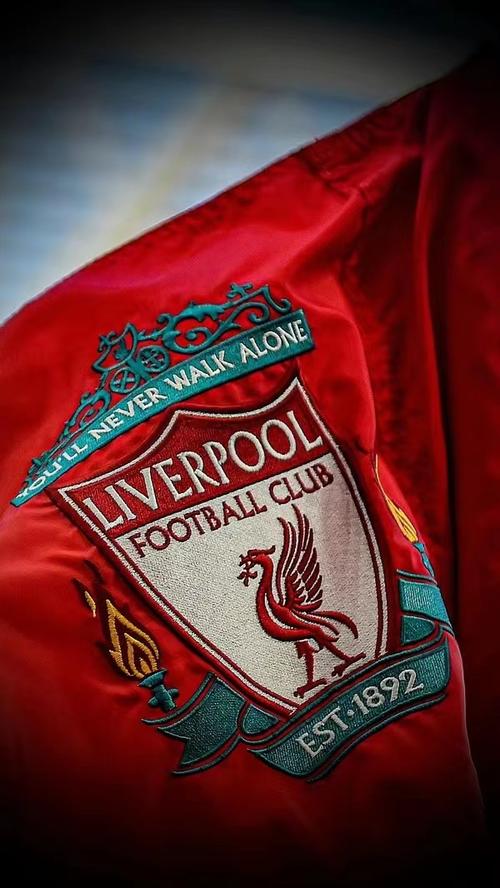 感受永不独行:利物浦队歌的魅力与力量