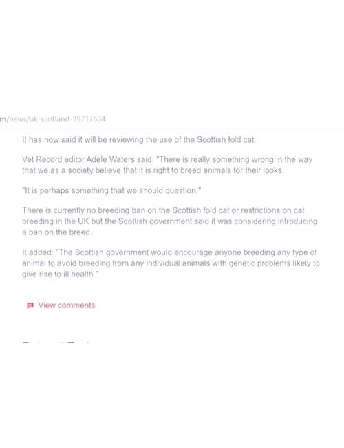 苏格兰独立与否？一文带你了解真相