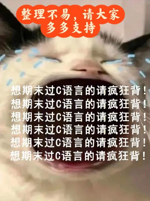 还在为找足球新闻网站烦恼?这里有你想要的答案