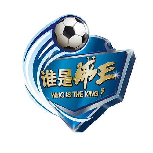 谁是球王足球争霸赛:赛况回顾及冠军选手介绍