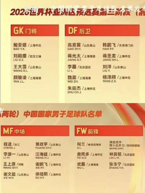 国足名单里的外国人都是谁？他们是怎么加入国足的？