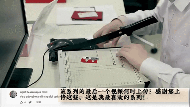 中国人在荷兰安全吗?最新荷兰安全形势及华人防范指南