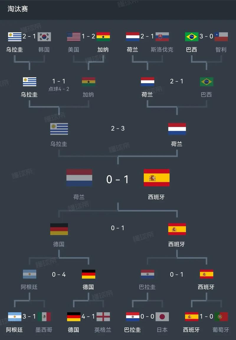 谁是2010年世界杯的冠军球队？一文带你了解