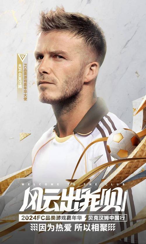 买世界杯足球怎么买?官方渠道和靠谱电商推荐