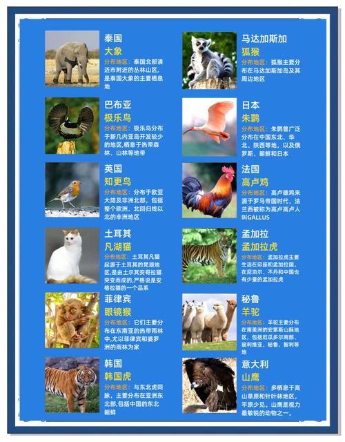 世界杯那些国家的代表动物是什么？一文了解世界杯背后的动物故事