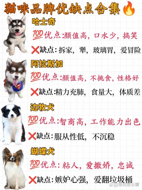 避开雷区！这10种狗不建议新手饲养，看看都有谁