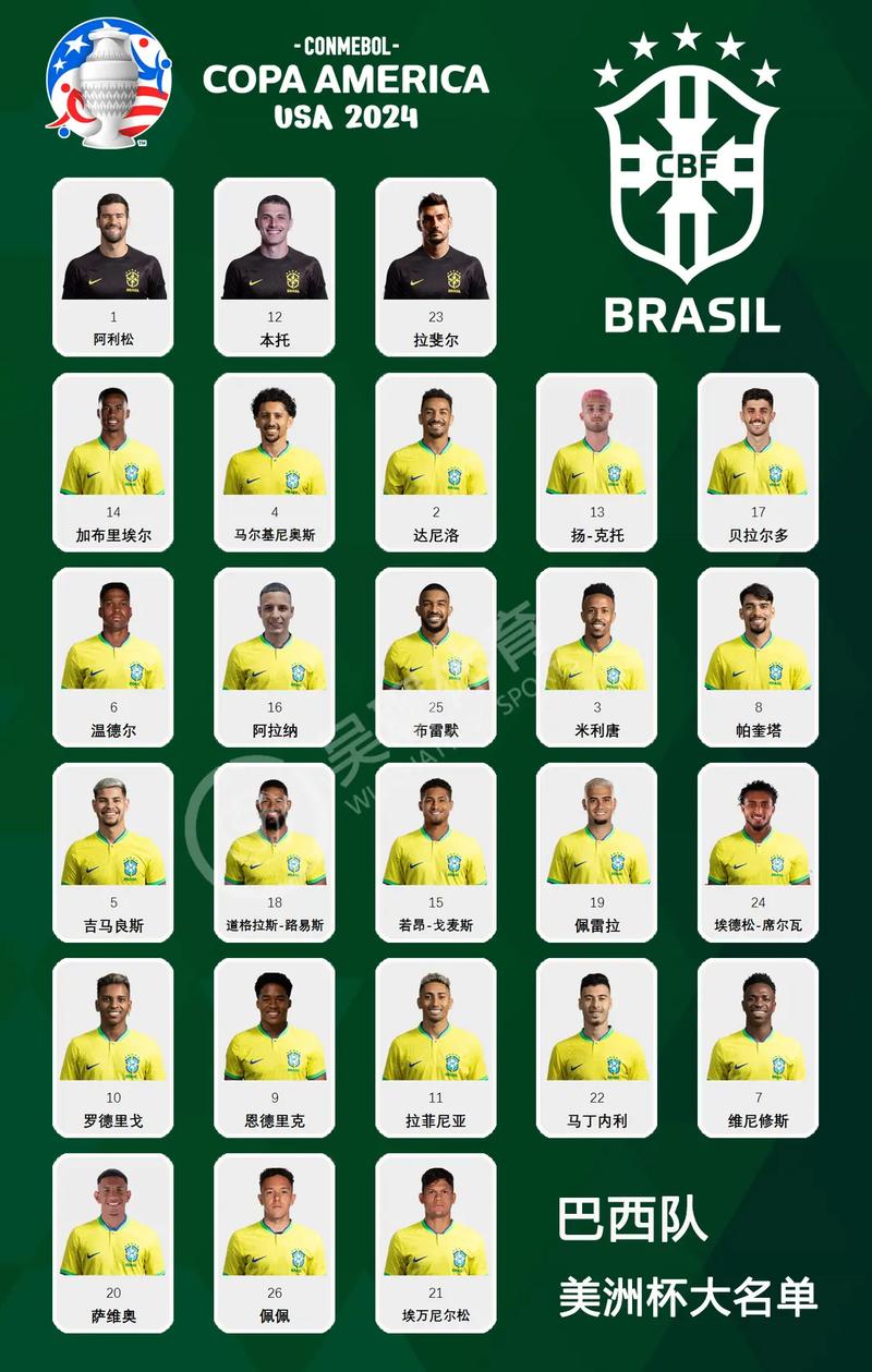 足球美洲杯多久举行一次?揭秘其举办频率