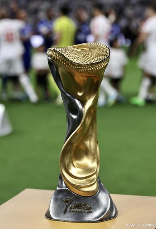 世杯亚军有奖杯吗？亚军究竟能获得什么荣誉？