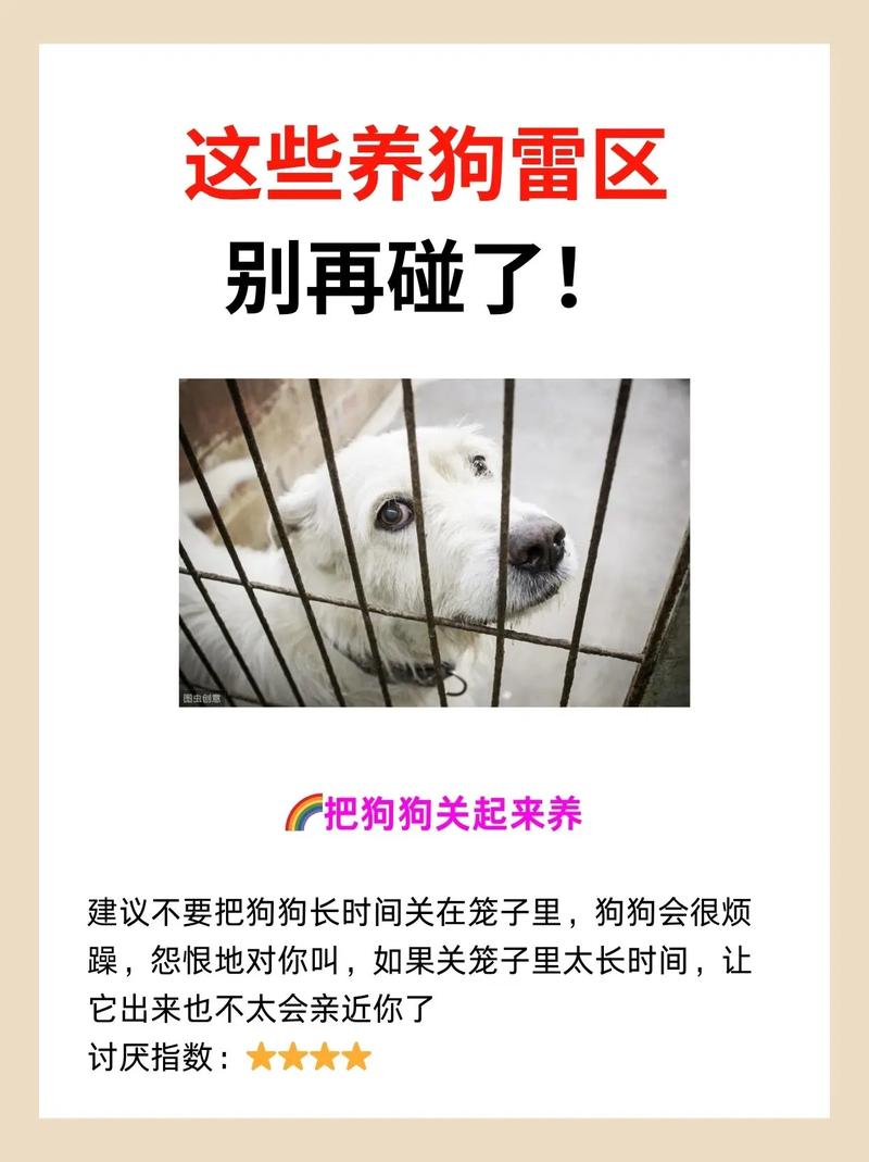 避开雷区！这10种狗不建议新手饲养，看看都有谁