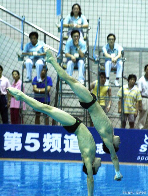 探秘中国跳水冠军女运动员，她们的成功之路是怎样的？