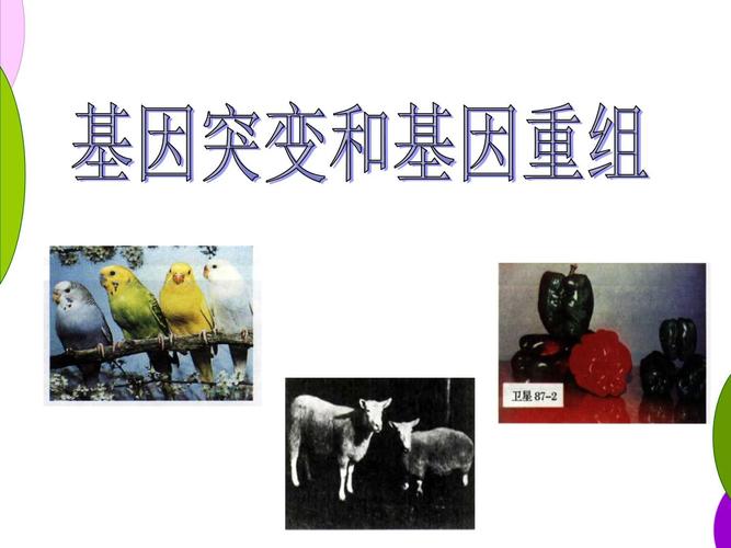 新生突变是什么意思？简单解释新生儿基因突变