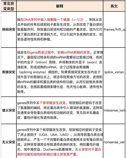 新生突变是什么意思？简单解释新生儿基因突变