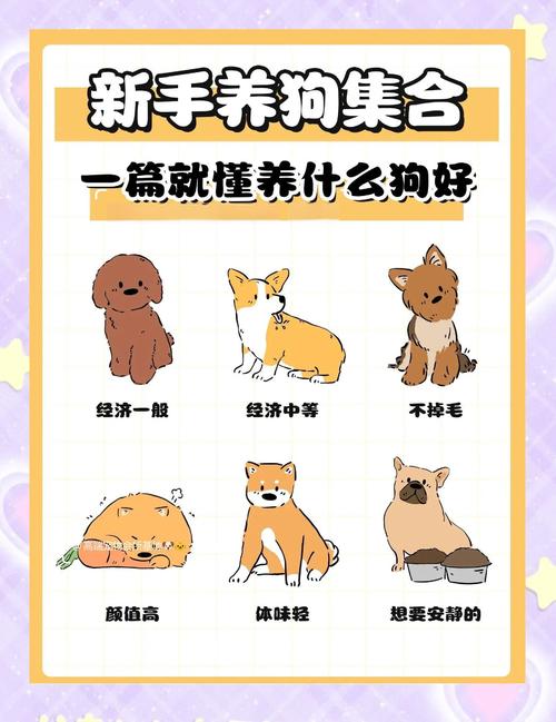 避开雷区！这10种狗不建议新手饲养，看看都有谁