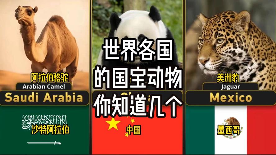 世界杯那些国家的代表动物是什么？一文了解世界杯背后的动物故事