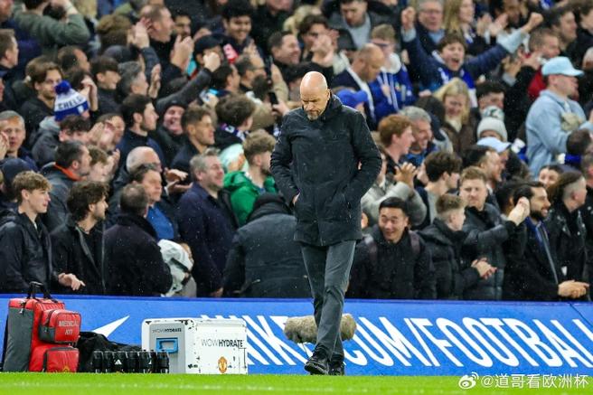 曼联旧将哈格里夫斯：实力几何？退役原因是什么？