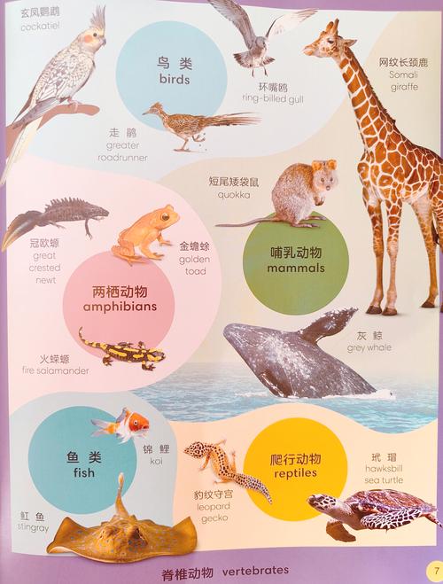 世界杯那些国家的代表动物是什么？一文了解世界杯背后的动物故事