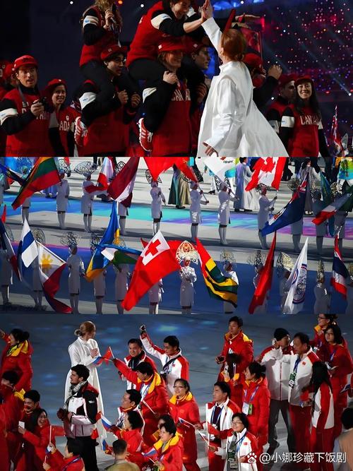 解答你的疑问:索契冬奥会究竟是第几届?