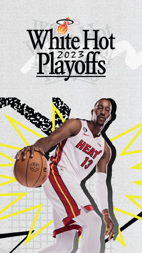 深度解析:热火如何克服雄鹿优势,最终赢得系列赛胜利