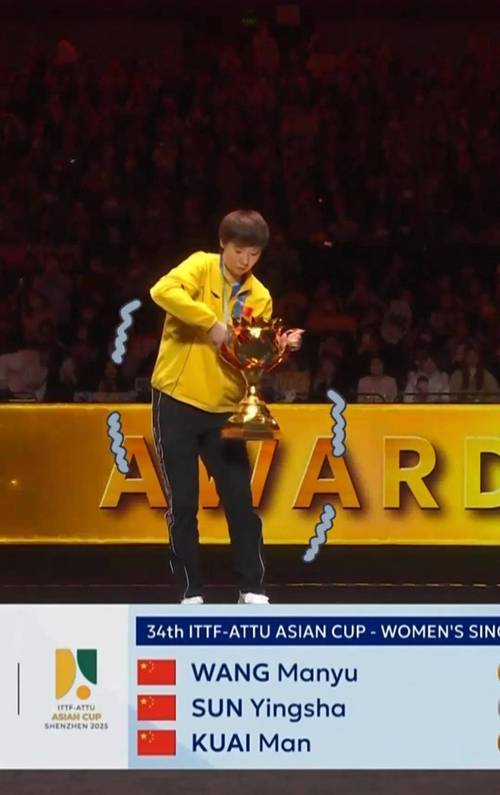 世杯亚军有奖杯吗？亚军究竟能获得什么荣誉？