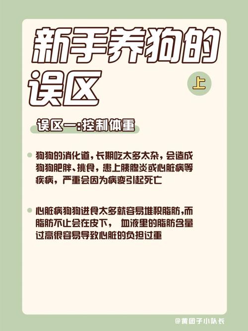 避开雷区！这10种狗不建议新手饲养，看看都有谁