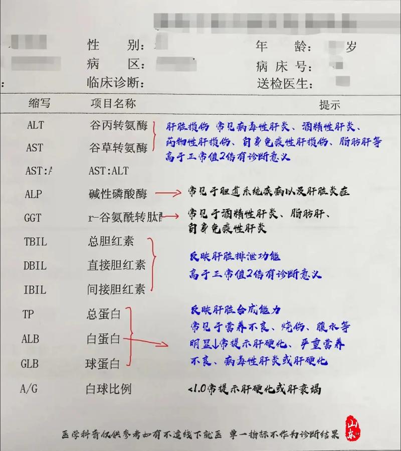 想做肝功能检查？先了解有哪些必检项目