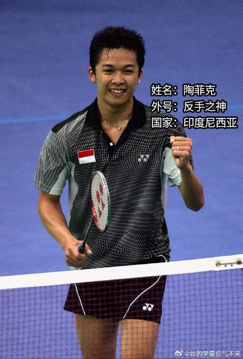 羽毛球四大天王究竟是谁?盘点羽坛传奇人物