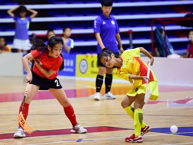 女排亚锦赛几年一届？带你回顾精彩赛事及未来发展趋势