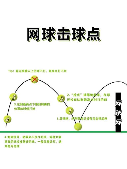 体球网打不开是什么原因？可能是这些问题！