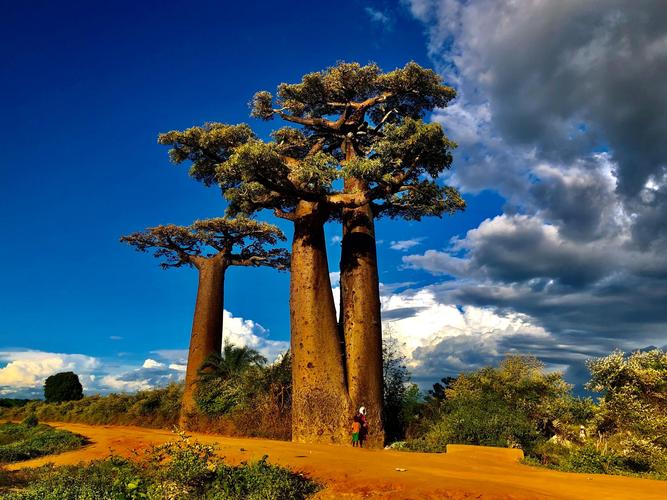 塞内加尔最有名的是什么?深度了解塞内加尔的历史与文化遗产