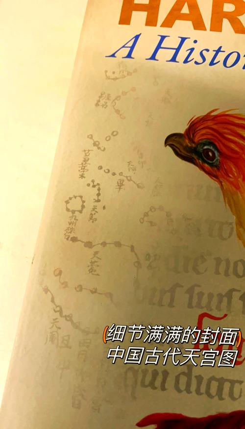 魔法世界大揭秘：乌姆里奇是食死徒吗？