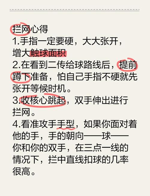体球网打不开是什么原因？可能是这些问题！