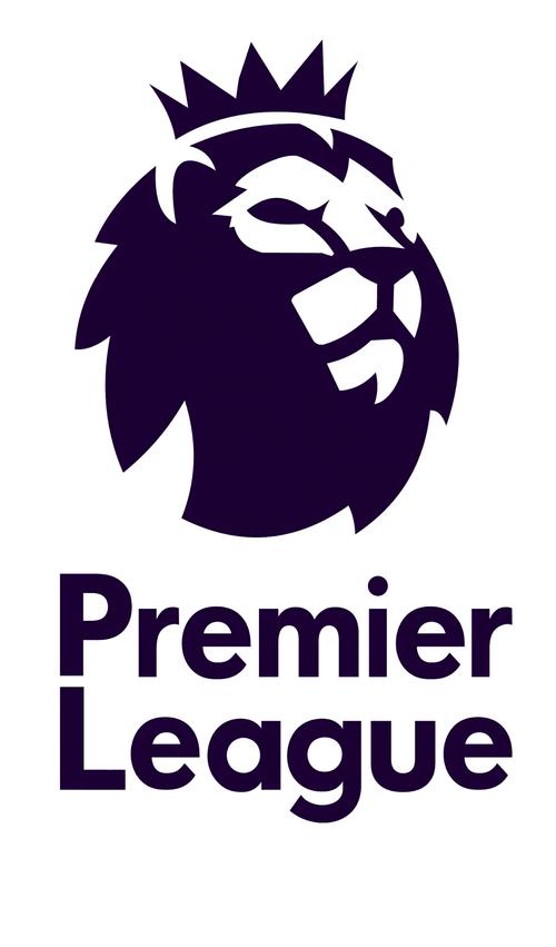 英超降级是什么联赛？英冠联赛详解及降级球队分析