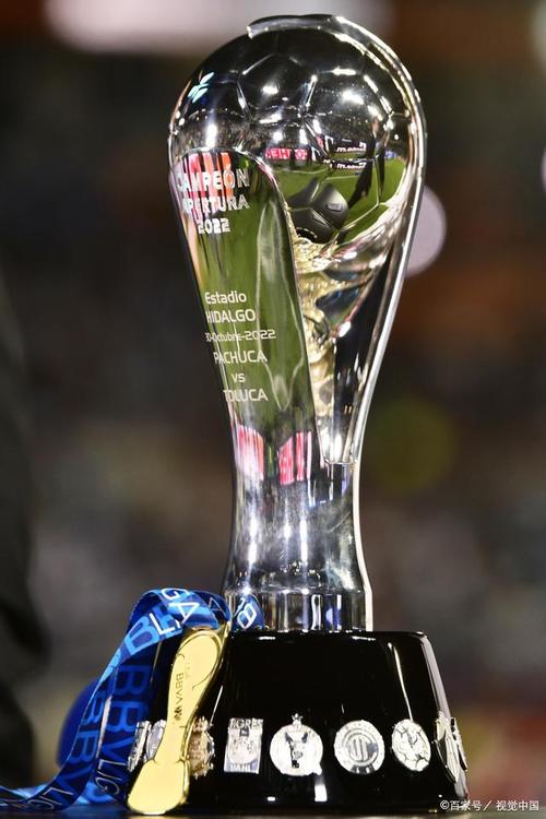 世杯亚军有奖杯吗？亚军究竟能获得什么荣誉？